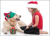 Golden Retriever Gifts For Dog Lovers 3