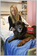 History of Animal Assisted Therapy