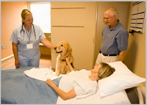 Pet Therapy Cure People