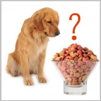 Special Diets For Dogs Include Pet Nutritional Supplements