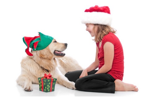 Golden Retriever Gifts For Dog Lovers 2