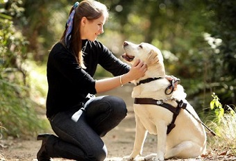 Guide Dogs for the Blind - title