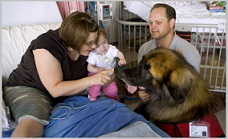 Benefits of Animal Assisted Therapy