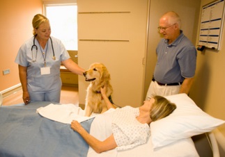Pet Therapy - benefits