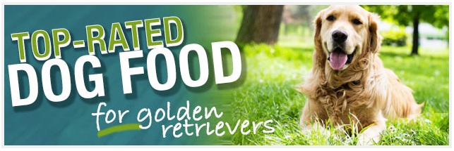 Dog Food Comparisons For Your Golden Retriever Dogs