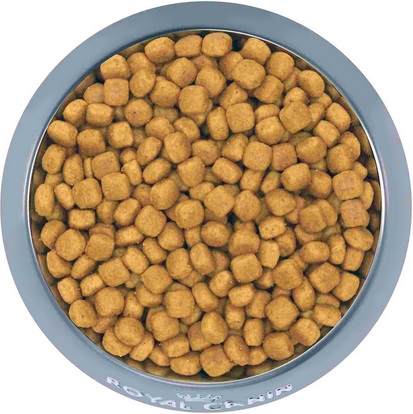 Dog Food Comparisons For Your Golden Retrievers