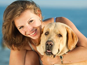 Obesity Diseases In Golden Retriever Dogs 11