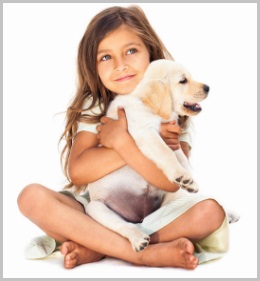 Vaccinations For Golden retriever Dogs- Immunization Schedule