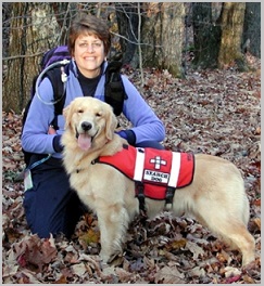 Golden Retriever As Search and Rescue Dogs 3