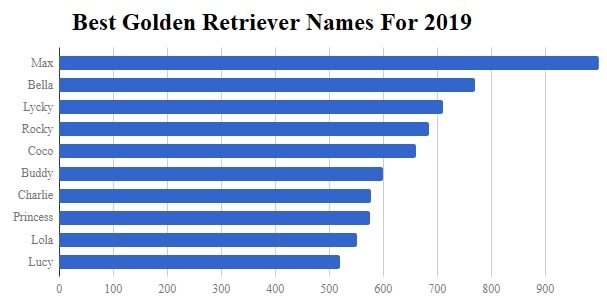 Best Golden Retriever names study 2019